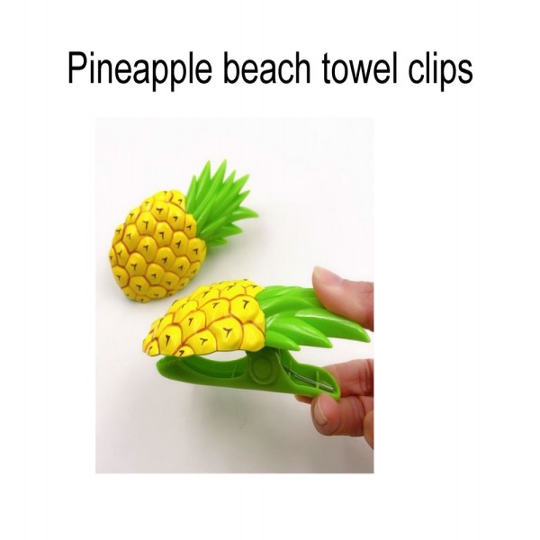 /13_CRA-CLIP-010.html